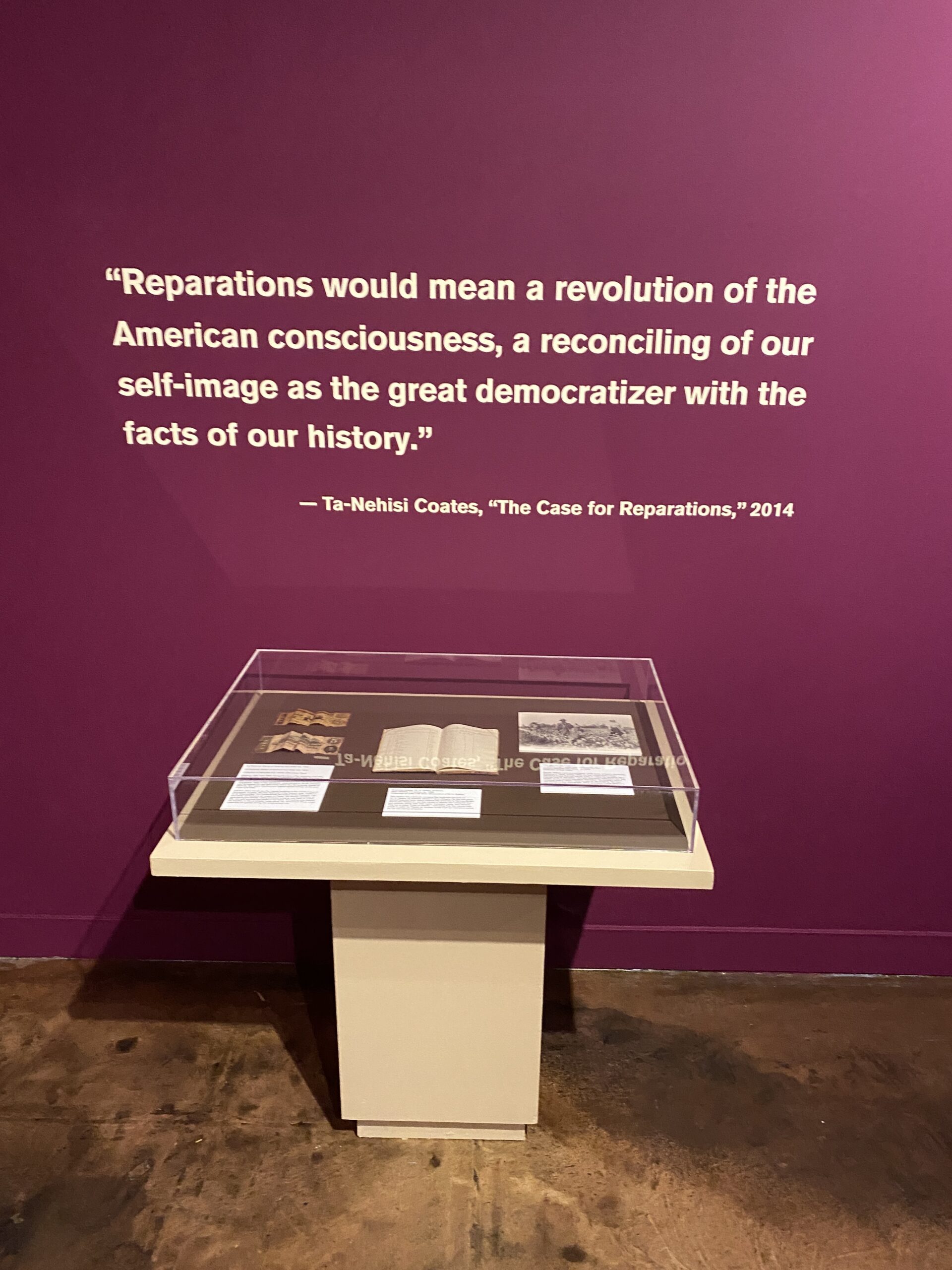 Interview With Bridget Cooks on Repossessions — Reparations 4 Slavery