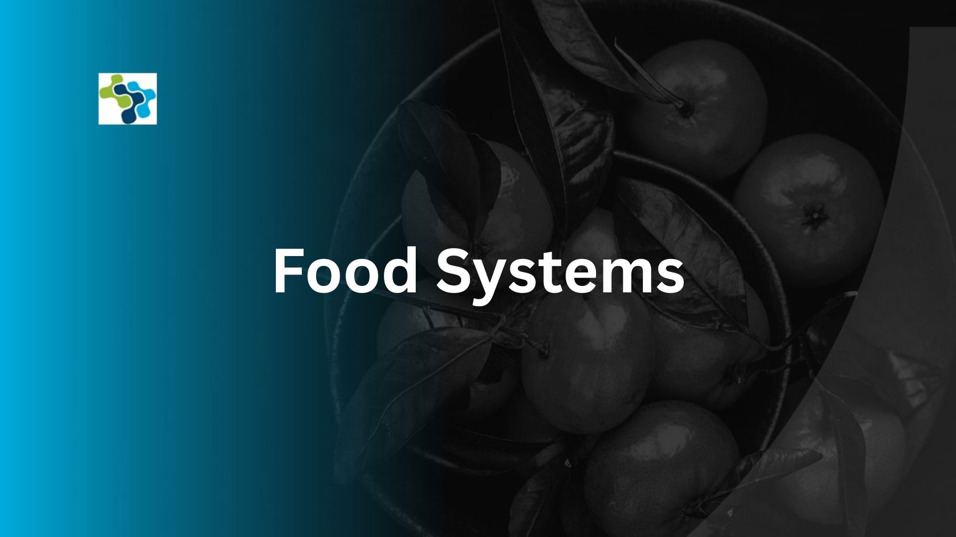 Food Systems
